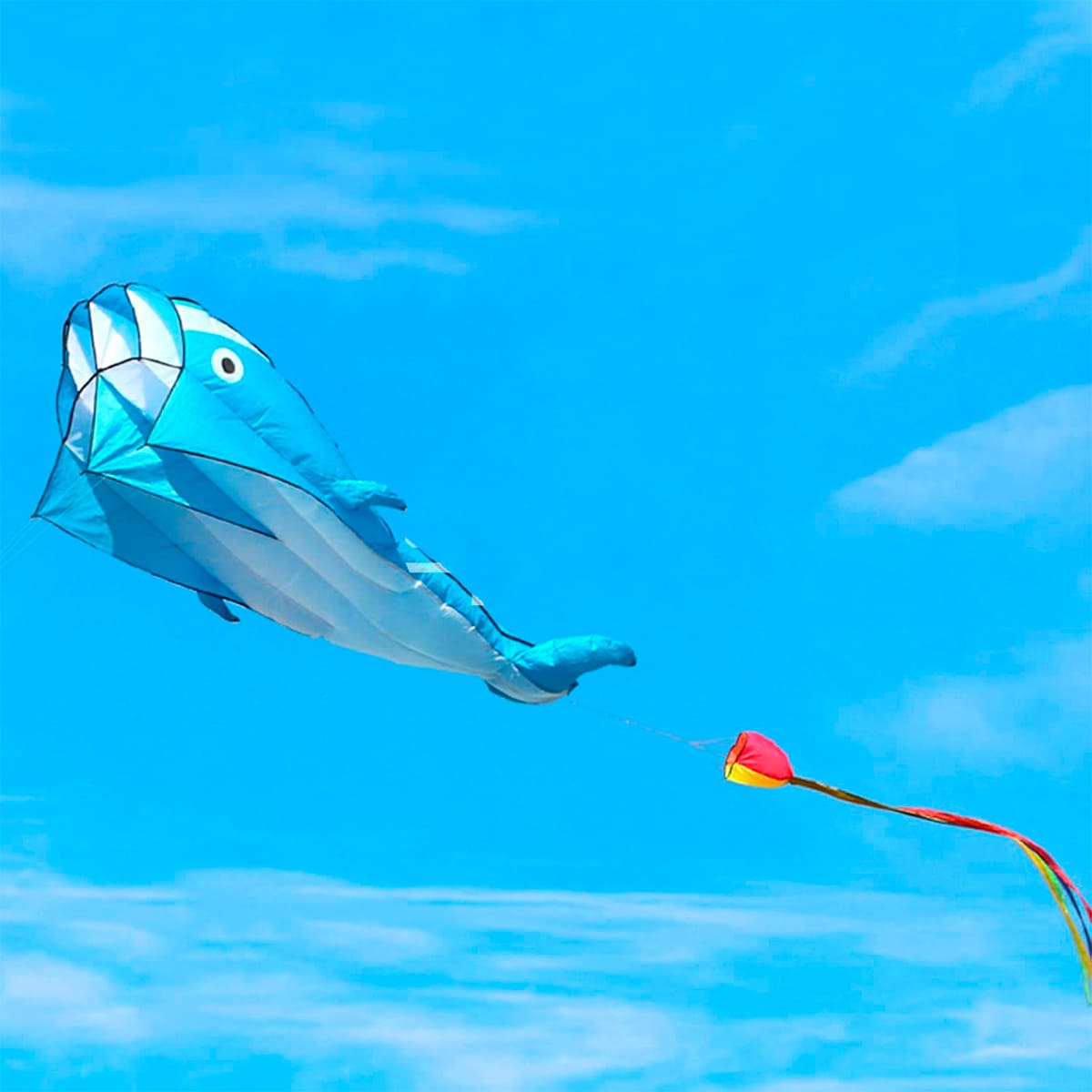 Miniatura 11 de Cometa Ballena 3D Gigante COM-2-3